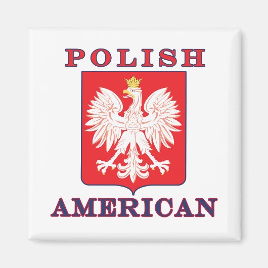 Pools Amerikaans Eagle Shield Magneet (Voorkant)