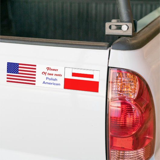 Pools-amerikaanse bumpersticker (Op Truck)