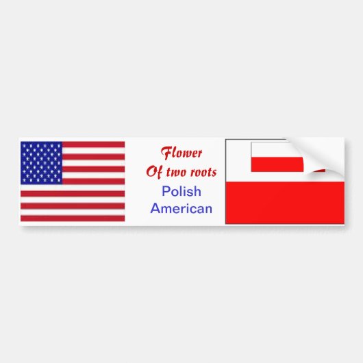 Pools-amerikaanse bumpersticker (Voorkant)
