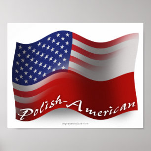 Pools-Amerikaanse golfvlag Poster