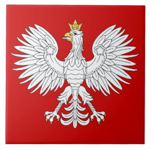 Pools Eagle Tegeltje