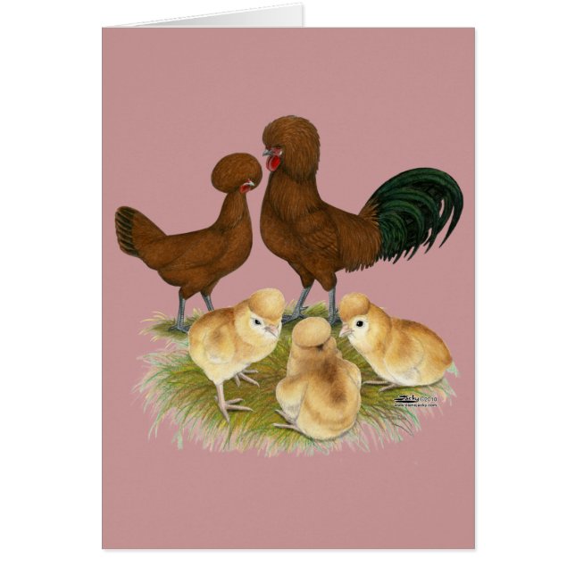 Pools: Rode familie (Voorkant)