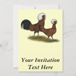 Pools: Witte kreuken Kaart