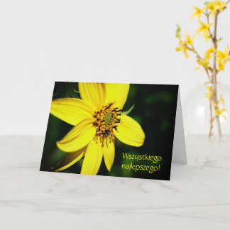 Poolse Birthday Sto Lat Sunflower Kaart