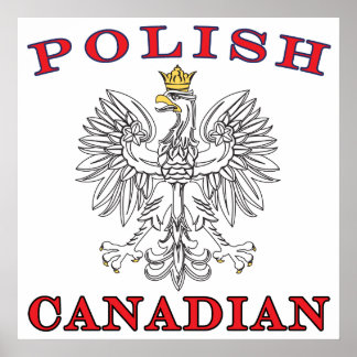 Poolse Canadese witte adelaar Poster