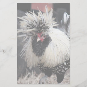 Poolse Crested Rooster Briefpapier