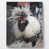 Poolse Crested Rooster Fotoplaat (Voorkant)