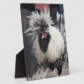 Poolse Crested Rooster Fotoplaat (Zijkant)