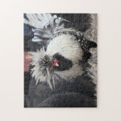 Poolse Crested Rooster Legpuzzel (Verticaal)