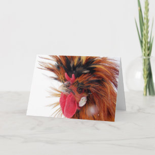 Poolse Haan Winter Sneeuw Kerstmis Feestdagen Kaart