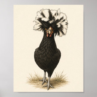 Poolse Hen Kip Kunstprint, Vintage Boerderij Keuke Poster