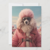 Poolse Poodle