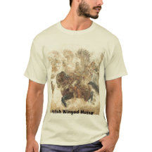 Poolse scharnige Hussar