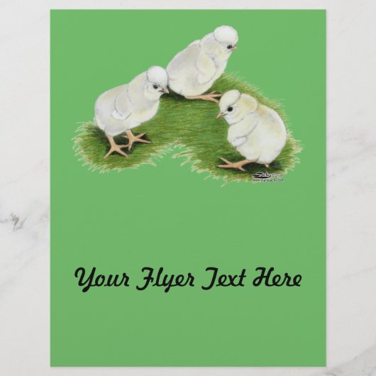 Poolse Splash Kuikens Flyer (Voorkant)