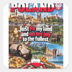 Poolse sticker