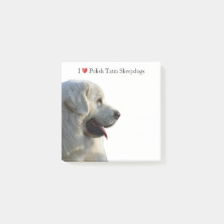 Poolse Tatra Sheepdog Sticky Notes