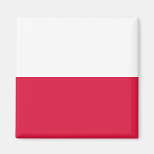 Poolse vlag magneet