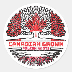 Poolse vlag over bomen in Canada Ronde Sticker