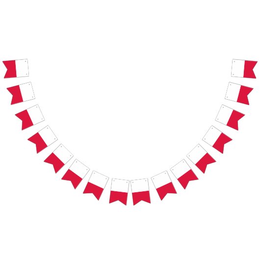 Poolse vlag vlaggetjes (Alle)