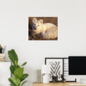 poolvos, Alopex lagopus Poster (Thuiskantoor)