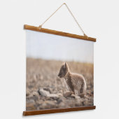 Poolvos Hangend Wandkleed (Gebogen)