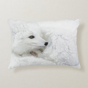 Poolvos opgerold in de winter decoratief kussen