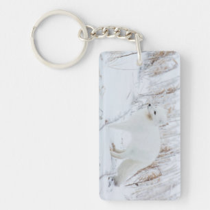 Poolvos Sleutelhanger