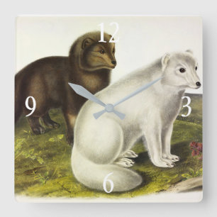 poolvos (witte vos, poolvos, sneeuwvos) vierkante klok