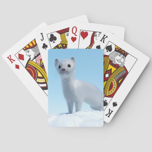 Poolwezel Charme Pokerkaarten (Achterkant)