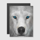 Poolwolf (Voorkant / Achterkant)