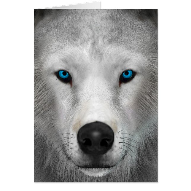Poolwolf (Voorkant)