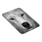 Poolwolf Magneet (Rechterzijde)