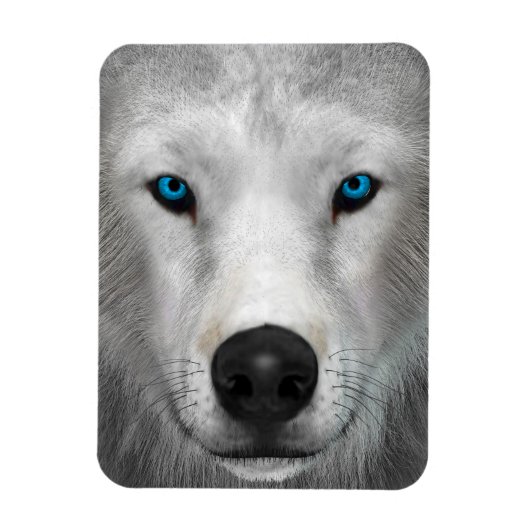 Poolwolf Magneet (Verticaal)