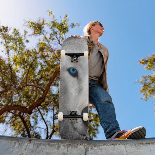Poolwolf Skateboard (Buiten 1)