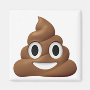 Poop emoji magnet magneet