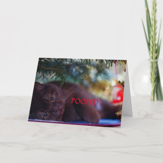 POOPÉ ? CARTE DE NOËL POUR TOUS (Devant)