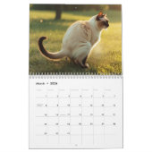 Pooping Cats Kalender 2026 (Mar 2026)