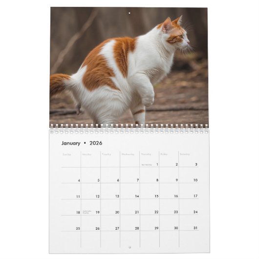 Pooping Cats Kalender 2026 (Jan 2026)