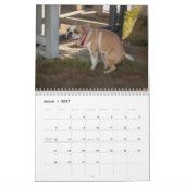 Pooping Dogs Kalender 2026 (Mar 2027)