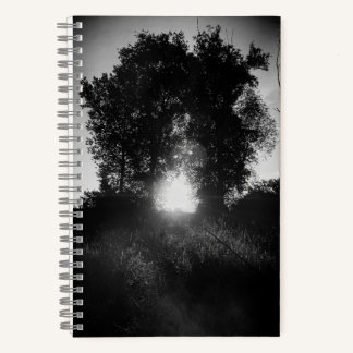 Poort naar de hemel  notitieboek