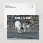 Poorten van het Arctische Briefkaart (Voorkant / Achterkant)