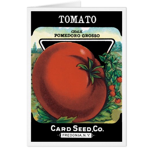 pootaardappelen, tomaat Pomodoro (Voorkant)