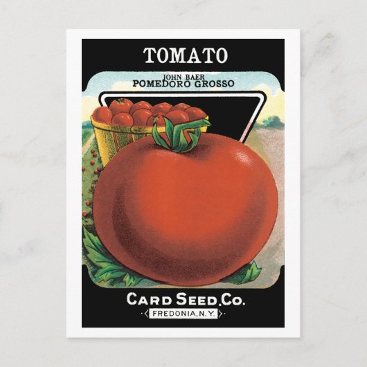  pootaardappelen, tomaat Pomodoro Briefkaart (Voorkant)