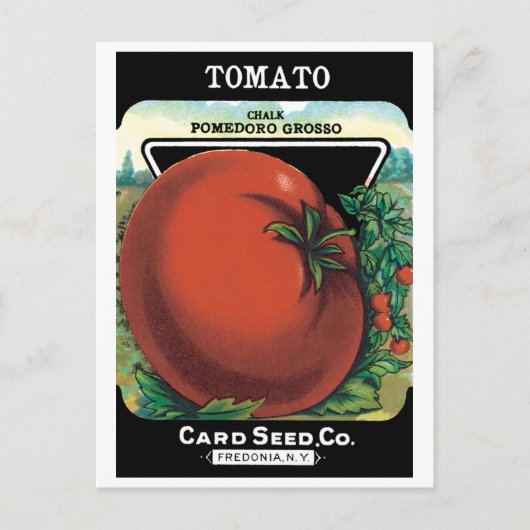  pootaardappelen, tomaat Pomodoro Briefkaart (Voorkant)