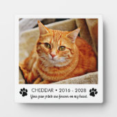 Pootafdrukken Kat Herdenkingsfoto Fotoplaat (Voorkant)