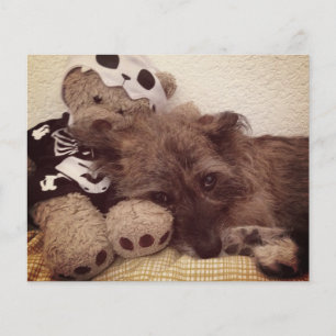 pootdruk op je hart - petverliessenkaart