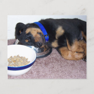 pootdruk op je hart - petverliessenkaart