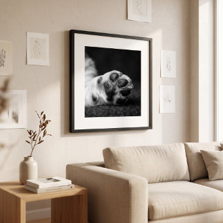 Pootfoto op maat 5 bij 7 foto huisdier aandenken poster