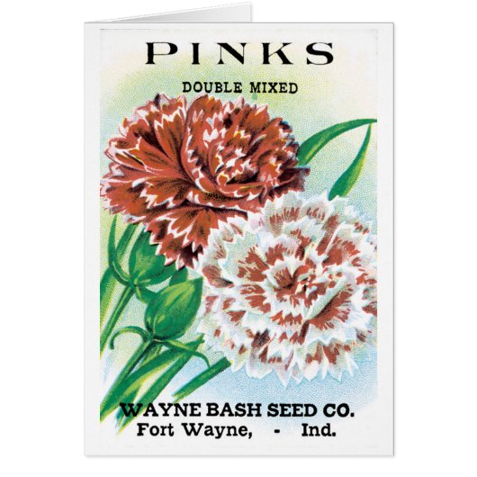  pootpastekunst, Pinks carnenbloemen (Voorkant)