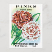 pootpastekunst, Pinks carnenbloemen Briefkaart (Voorkant)